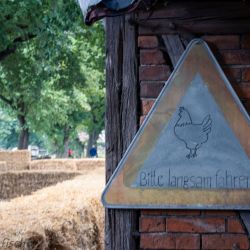thoense24 impressionen 2025